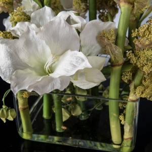 Aranjament floral mediu design LUX SQUARE TEBE - Img 7