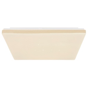 Plafoniera LED dimabila cu telecomanda ULLY 24W 106646 universul-luminii.ro