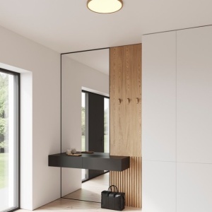 Plafoniera slim LED 2700K 3-step MOODMAKER Oja 42 Wood Foil 221336 universul-luminii.ro