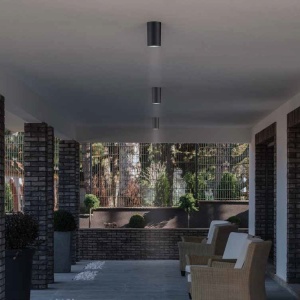Plafoniera, spot aplicat pentru iluminat exterior, IP54 Dear negru 118156 universul-luminii.ro