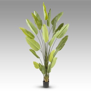 Planta artificiala decorativa STRELITZIA REGINAE, Ave paraiso H250 - Img 2