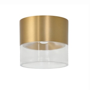 Spot aplicat auriu LED LIMAN 6W CCT