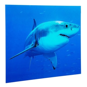 Tablou decorativ imagine imprimata pe sticla, Shark 60x80cm A-37414 VC - Img 4