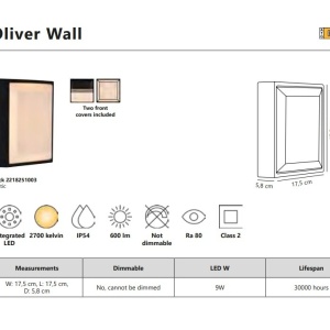 Aplica de perete / tavan exterior IP54 Oliver Black 221367 universul-luminii.ro