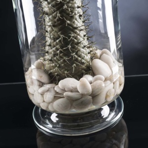 Aranjament floral design LUX, ETERNITY CYLINDER CACTUS 1141794.60 - Img 3