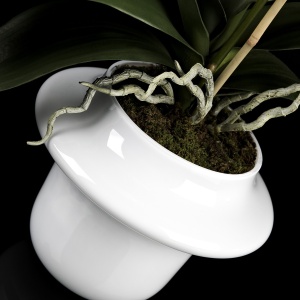 Aranjament floral elegant ATOLLO 1 WITH PHALENOPSIS SMALL 1141261.95 - Img 2