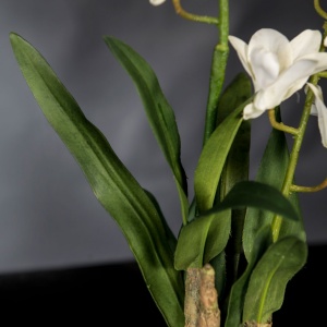 Aranjament floral elegant, design LUX ETERNITY ALFEO CYMBIDIUM - Img 4