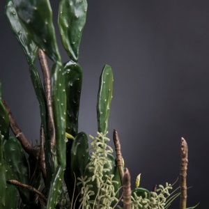Aranjament floral elegant, design LUX ETERNITY FIG BRANCH GIANT - Img 4