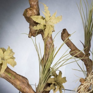 Aranjament floral elegant EASTER GRASS, 60x50cm - Img 2