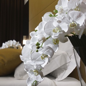 Aranjament floral elegant PHALENO CASCADE 1140969.95 - Img 2