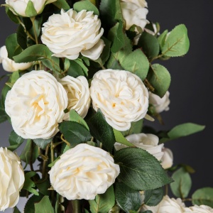 Aranjament floral mare design LUX PENELOPE COLUMN ROSES 1142278.95 - Img 3