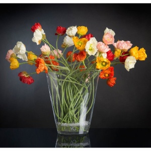 Aranjament floral, vaza eleganta cu maci multicolori TROP 1141847.01