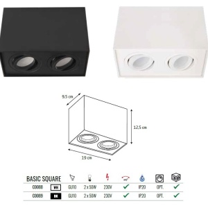 Plafoniera aplicata cu 2 spoturi directionabile, BASIC SQUARE II BK 206567 universul-luminii.ro