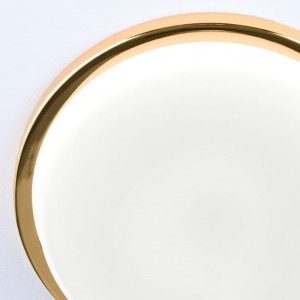 Plafoniera LED moderna LEROX 30cm aurie 24K 198147 universul-luminii.ro