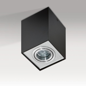 Spot aplicat tavan/plafon stil modern ELOY 1 Black/Alu 44297 universul-luminii.ro