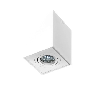 Spot directionabil aplicat tavan/plafon stil modern ELOY 1 White 98347 universul-luminii.ro