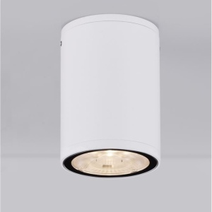 Spot LED aplicat de exterior IP65 LUMINA D-6,5cm alb 153127 universul-luminii.ro