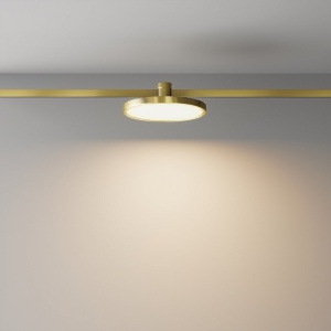 Accesoriu, Spot pentru Sistem Modular Magnetic Flarity, Plato alama 166488 universul-luminii.ro