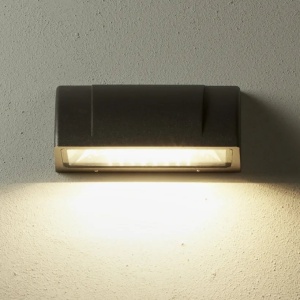 Aplica de perete iluminat exterior ambiental IP54 LED Berkeley II