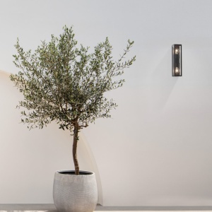 Aplica de perete pentru iluminat exterior IP65 REGINA 109358 universul-luminii.ro