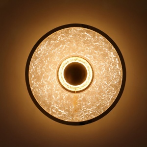 Aplica decorativa metal auriu, acrilic LED Alexia
