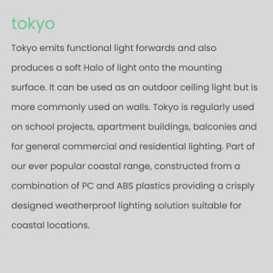 Aplica perete sau tavan iluminat exterior IP54 Tokyo - Img 7