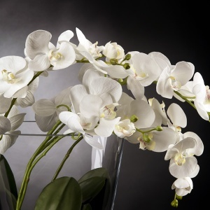 Aranjament floral elegant TROPICAL PLANT 1141378.95 - Img 2