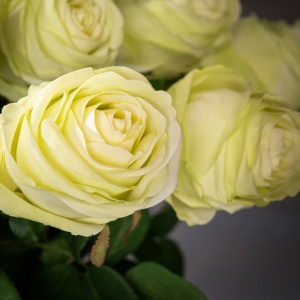 Aranjament floral mare SILVIA WITH ROSES - Img 4