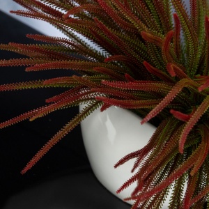 Aranjament floral mediu design LUX SLIMPINE BUSH - Img 3