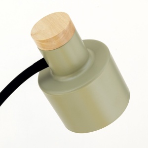 Lampa de podea cu spot directionabil Gili verde deschis - Img 2