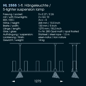 Lustra din fier forjat cu 5 surse de lumina HL 2555 47918 universul-luminii.ro