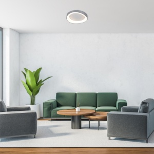 Lustra LED aplicata design circular Iliana 42cm - Img 3