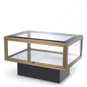 Masuta/ Vitrina pentru prezentarea cartilor sau obiectelor decorative Ryan