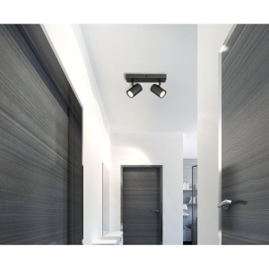 Plafoniera cu 2 Spoturi directionabile metal negru JAMES 249058 universul-luminii.ro