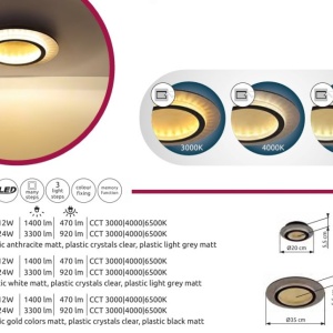 Plafoniera LED CCT JAYDEN 20cm 593188 universul-luminii.ro