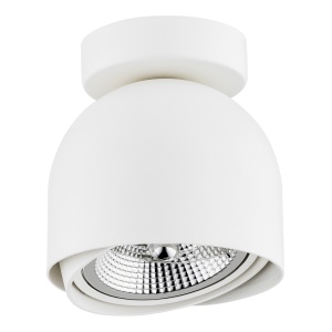 Plafoniera moderna tip Spot aplicat directionabil GARLAND alba 103598 universul-luminii.ro