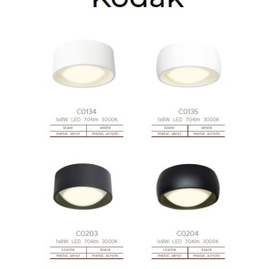 Spot LED aplicat tavan baie cu protectie IP44 Kodak II - Img 2