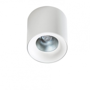 Spot LED aplicat tavan/plafon MANE 30W alb - Img 1