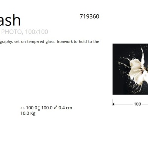 Tablou decorativ, imagine imprimata pe sticla calita Splash 100x100cm SV-719360 - Img 2