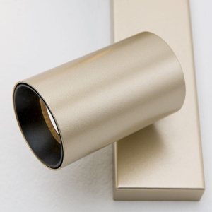 Aplica de perete/tavan cu Spoturi stil minimalist modern SEAN 2L auriu 235449 universul-luminii.ro
