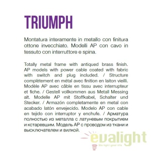 Aplica moderna cu brat directionabil, finisaj alama antic, TRIUMPH AP1 OTTONE 45119 universul-luminii.ro