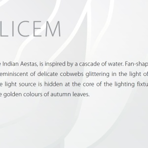 Aplica moderna Vision, design elegant CALICEM 02 - WL - Img 5