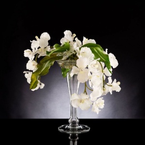 Aranjament floral design LUX, ETERNITY ALZATA MAXI VANDA 1142009.95