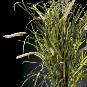 Aranjament floral mare BUNDLE GRASS, 155cm - Img 2