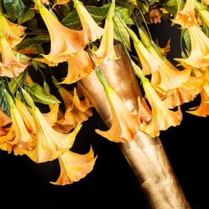 Aranjament floral mare CHIARA VASE WITH DATURA - Img 8