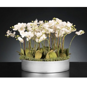 Aranjament floral mediu design LUX PHALEANOPSIS DISK