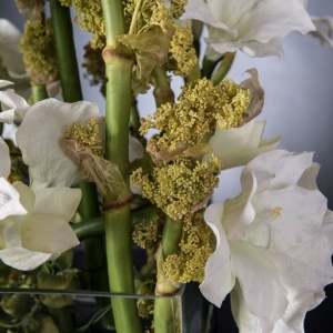 Aranjament floral mediu design LUX SQUARE TEBE - Img 8