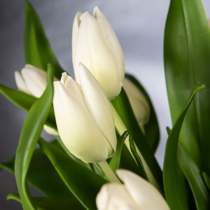 Aranjament floral mediu design LUX SQUARE TULIP - Img 2