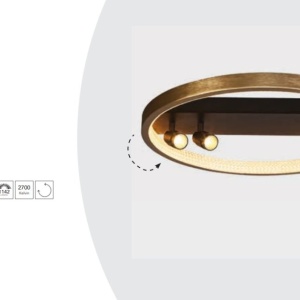 Lustra moderna aplicata cu inel LED dimabil Grace 137319 universul-luminii.ro