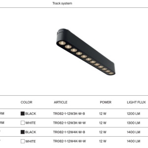 Modul LED, accesoriu pentru sina magnetica Radity, Points negru 12W 3000K 220389 universul-luminii.ro